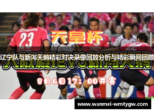 辽宁队与新泻天鹅精彩对决录像回放分析与精彩瞬间回顾